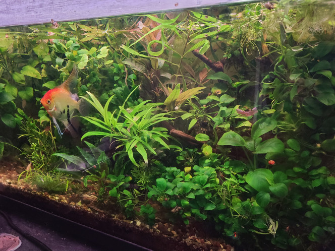 Photographie du post de laurent-galichet 