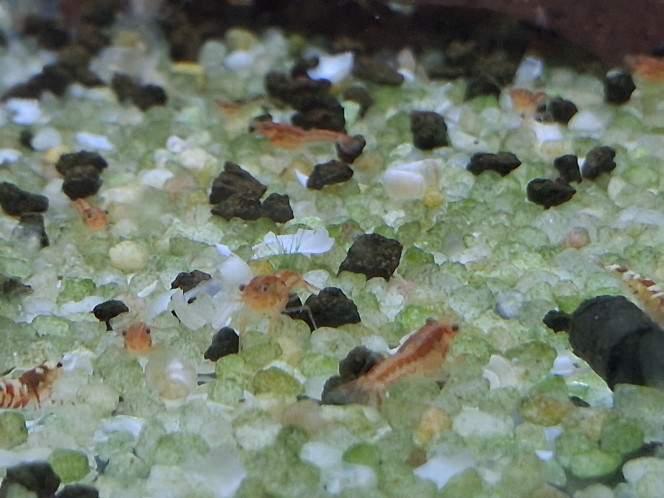 Photographie du post de PORTELLI 