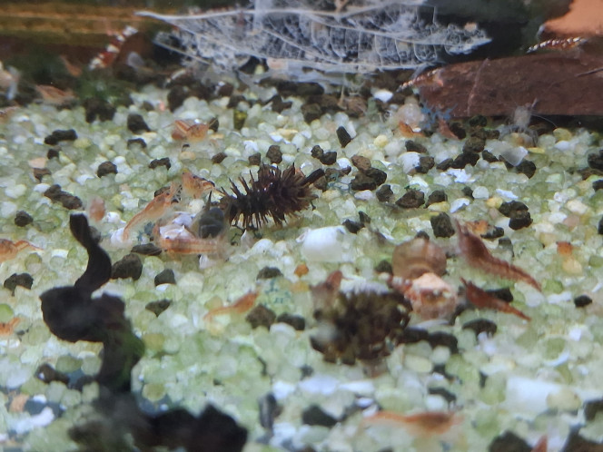 Photographie du post de PORTELLI 