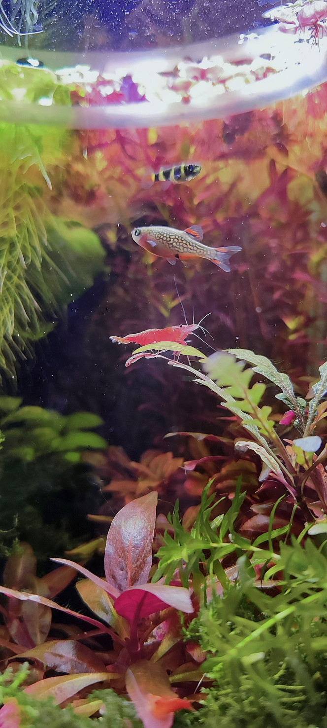 Photographie du post de PtiteNoli 