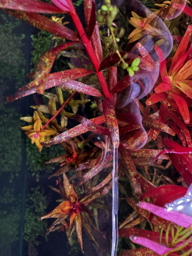 Photographie du post de Alex75008 