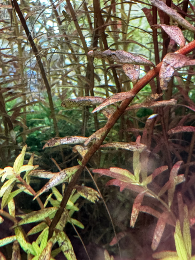 Photographie du post de Alex75008 