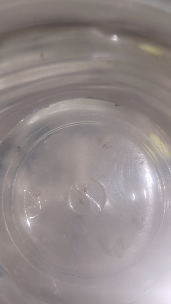 Photographie du post de Flo83 