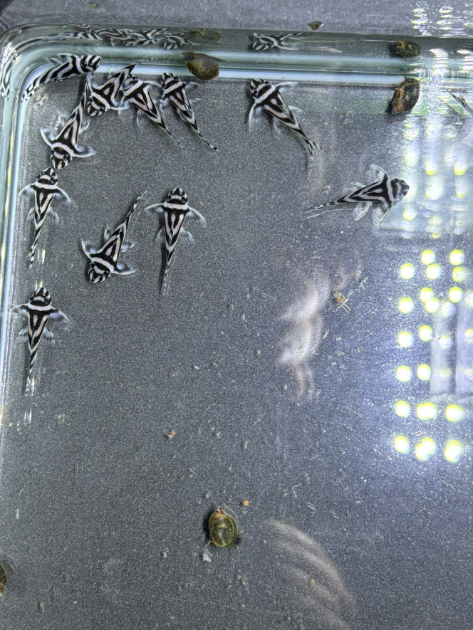 Photographie du post de Aquarius.0103 