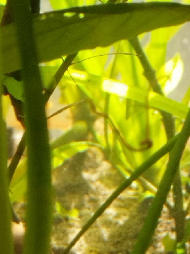 Photographie du post de Orion07 