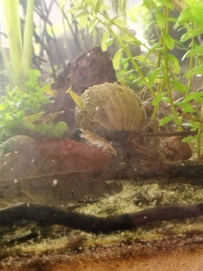 Photographie du post de Orion07 