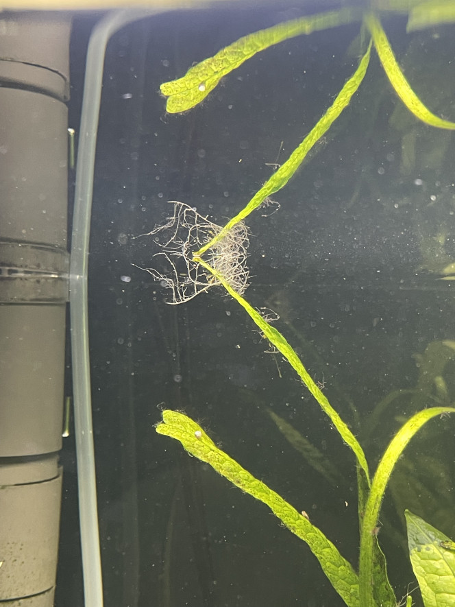 Photographie du post de Molac 