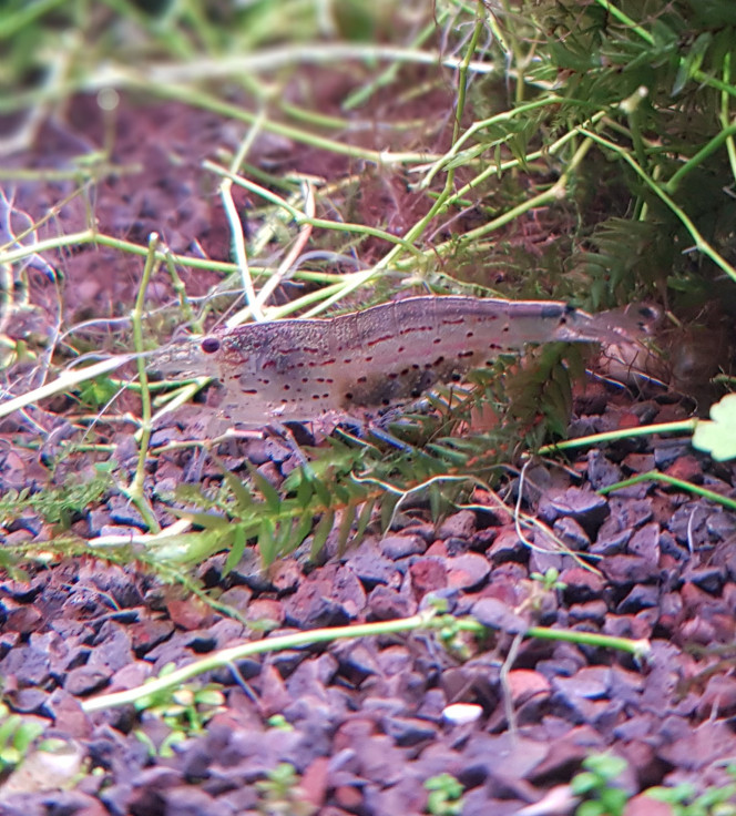 Photographie du post de Juwel69 