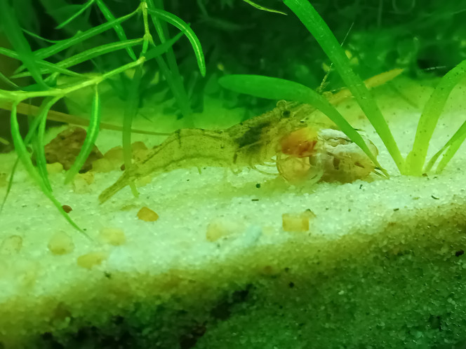 Photographie du post de Lalisa_2 