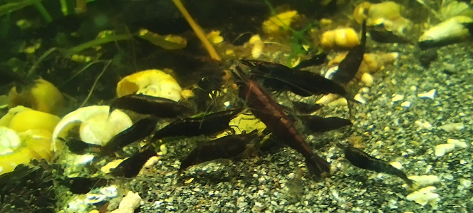 Photographie du post de Olivier1977 