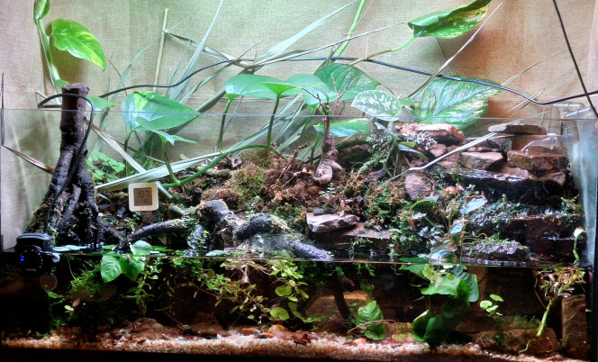 Avant le faisage de la cascade Je dois modeler une rivière et une cascade.