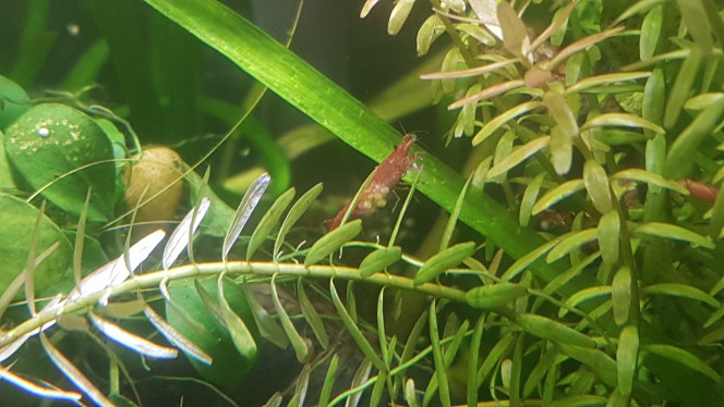 Photographie du post de LiquidPaper2008 