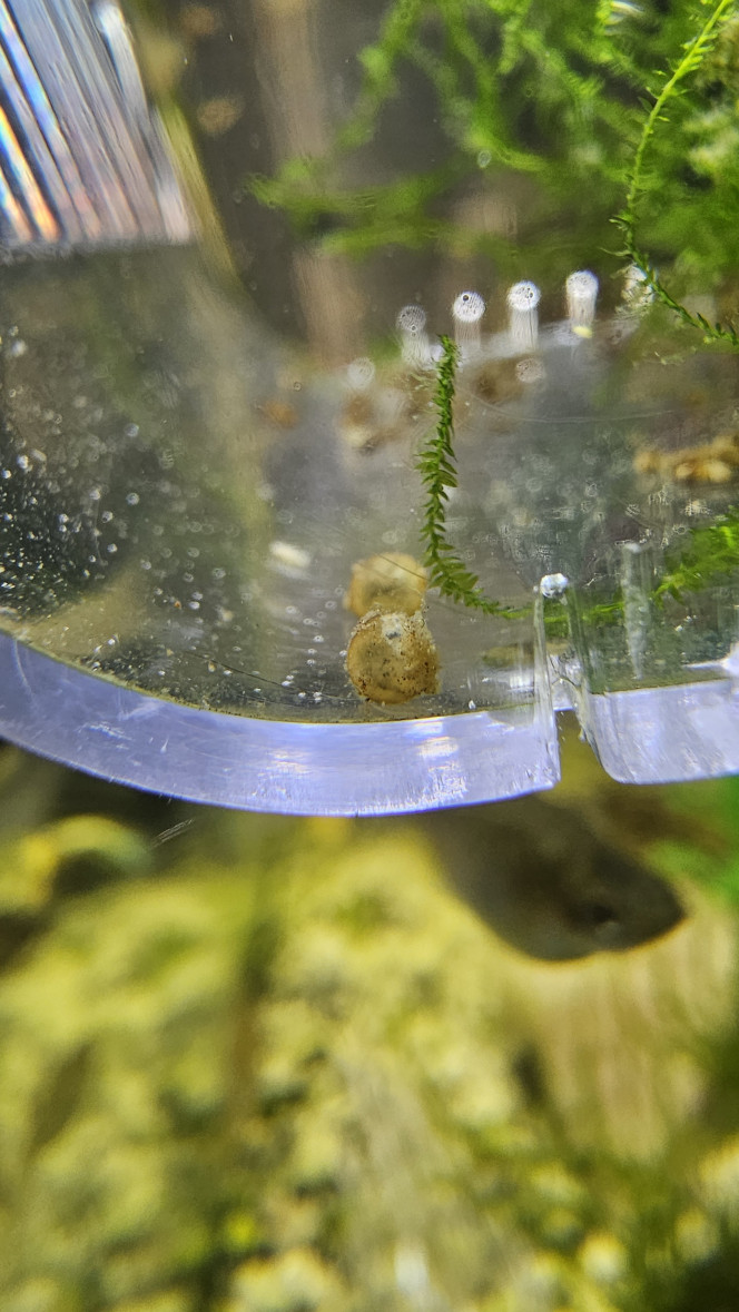 Photographie du post de Natu9110 