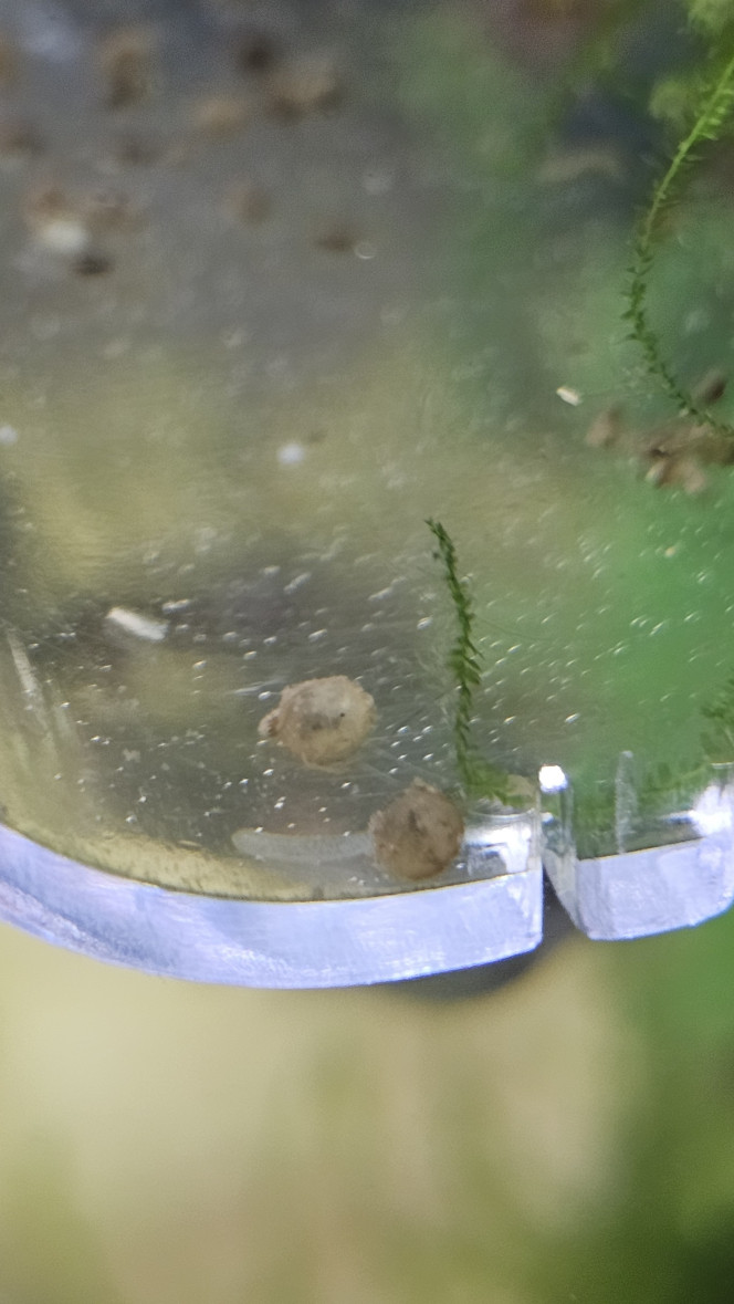 Photographie du post de Natu9110 