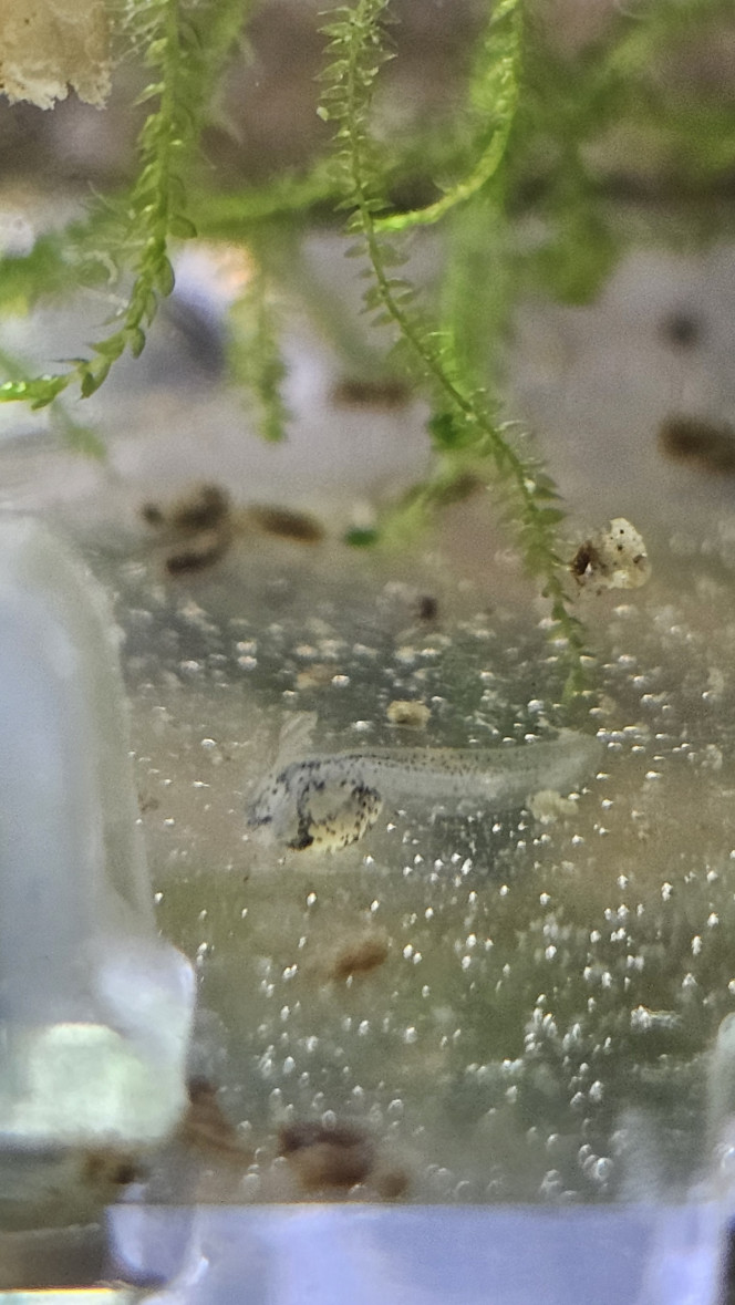 Photographie du post de Natu9110 