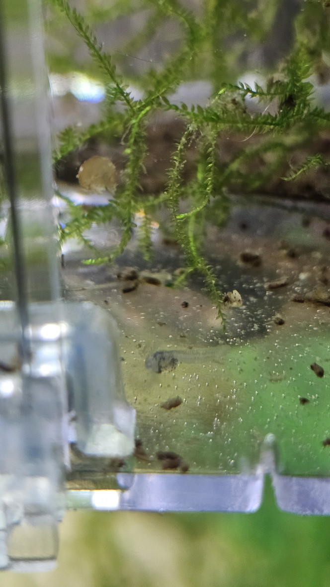 Photographie du post de Natu9110 