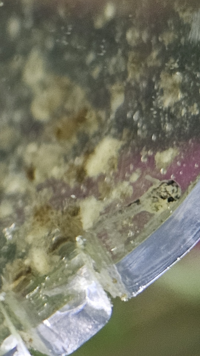 Photographie du post de Natu9110 