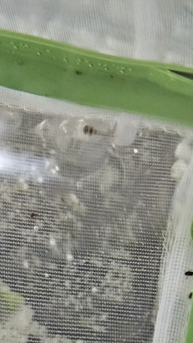 Photographie du post de Natu9110 