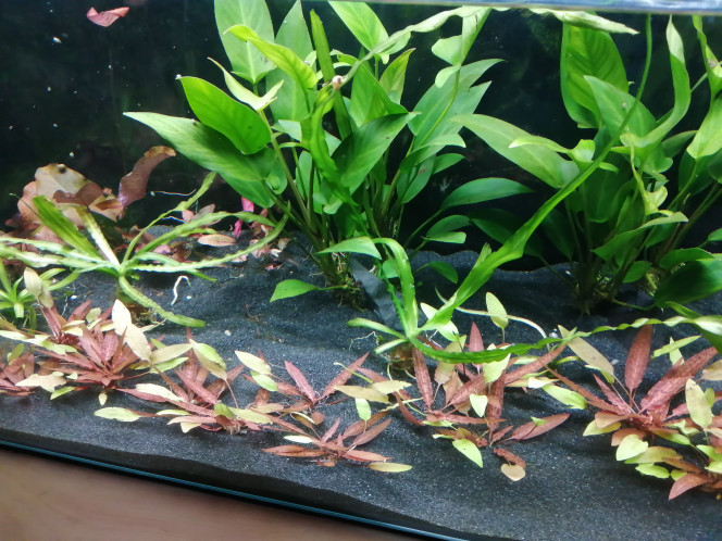 Photographie du post de lexx 