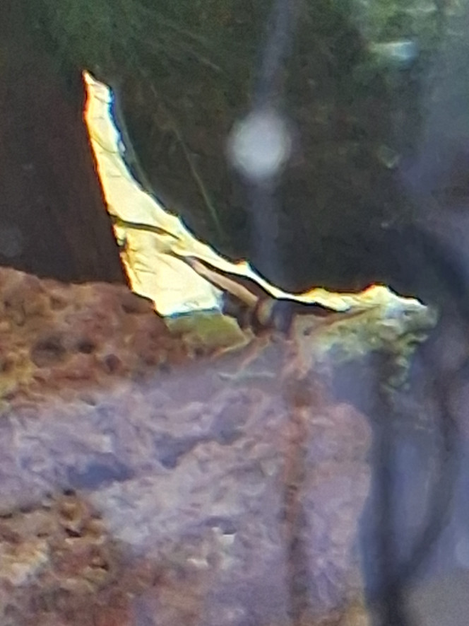 Photographie du post de PORTELLI 