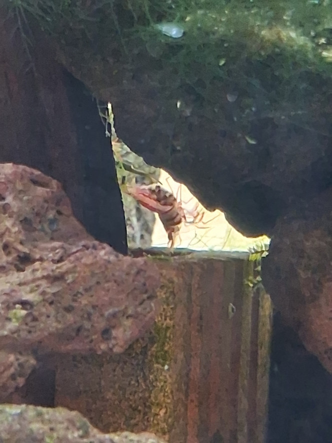 Photographie du post de PORTELLI 