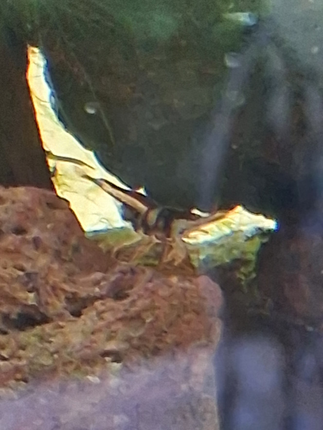 Photographie du post de PORTELLI 