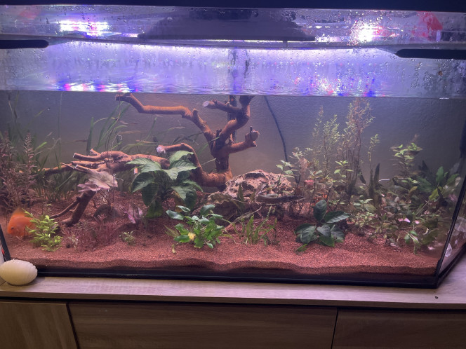 Photographie du post de Zakaria 