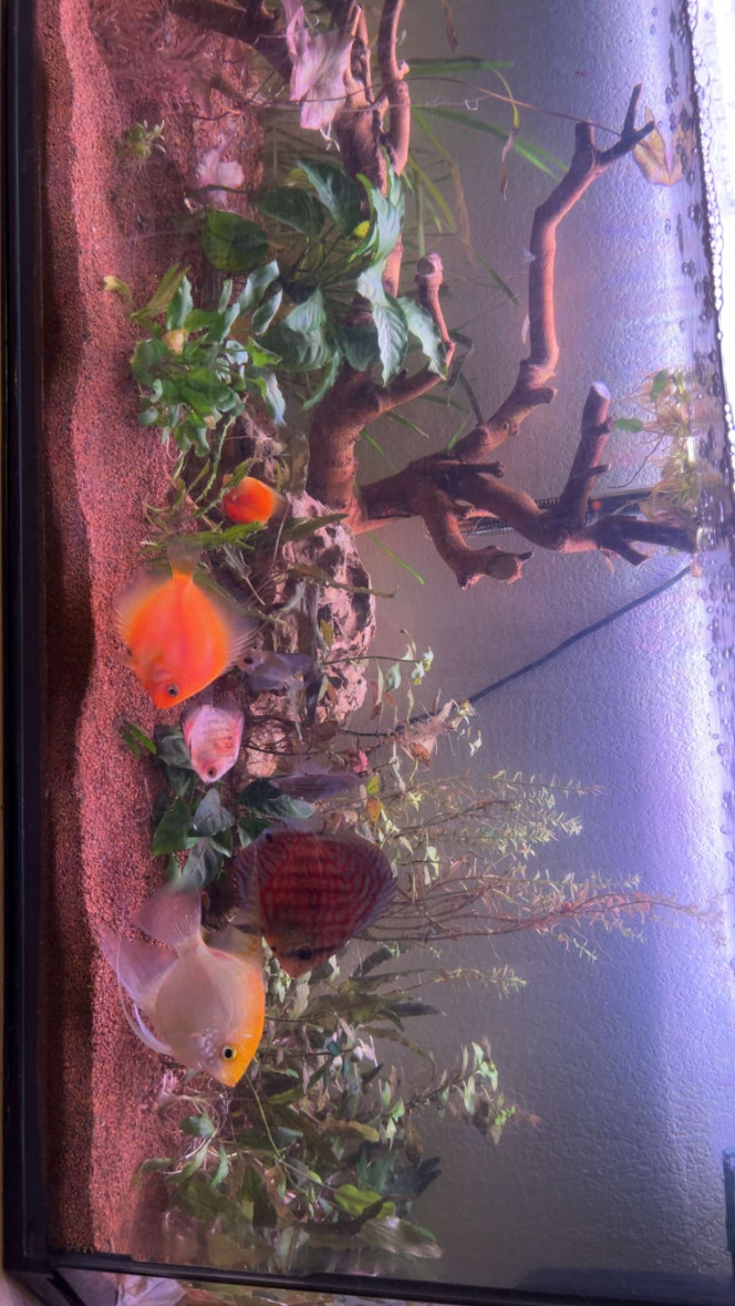 Photographie du post de Zakaria 