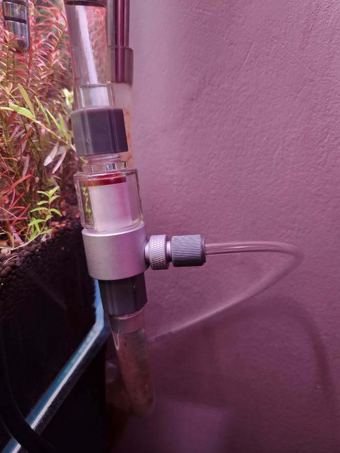 Photographie du post de Soso77 