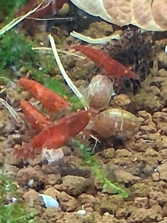 Photographie du post de PORTELLI 