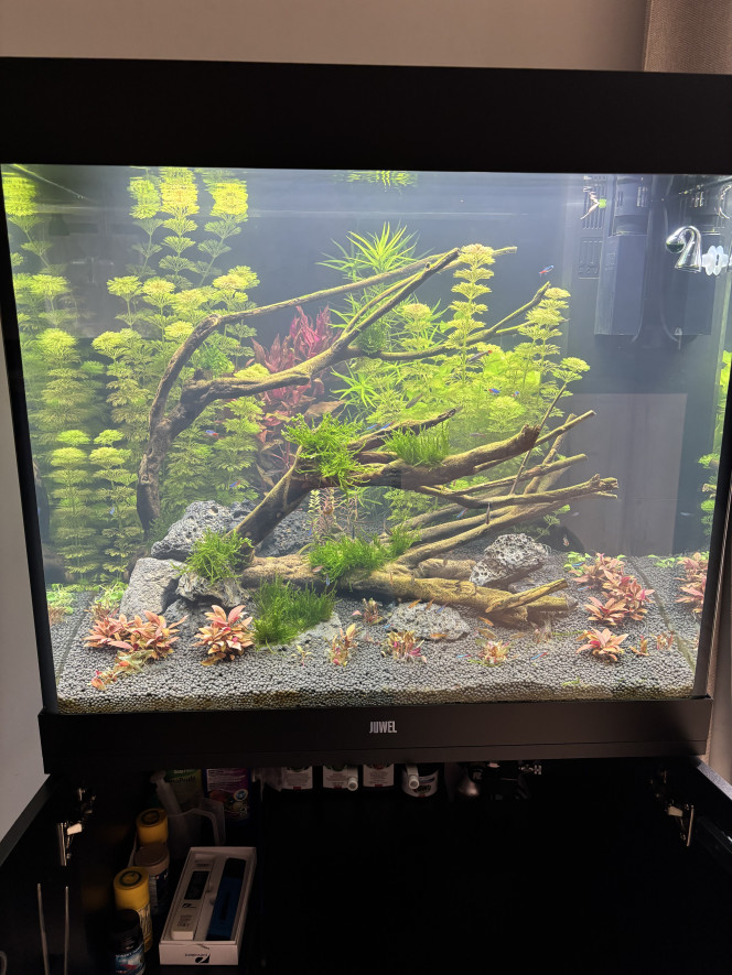 Photographie du post de Arthur74 