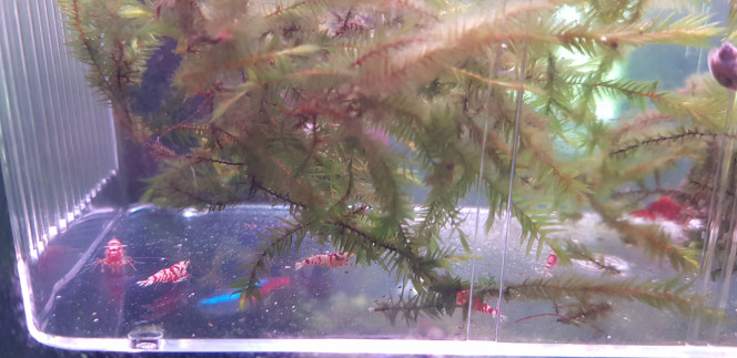 Photographie du post de Juwel69 