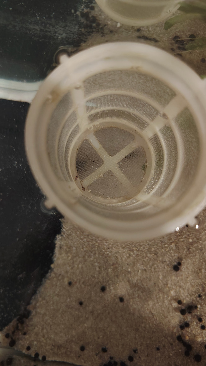 Photographie du post de Flo83 