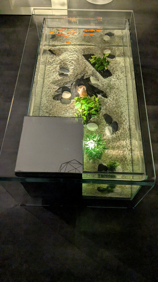 Photographie du post de Jenropa 