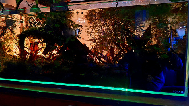 Backlight à pas cher Avec une chute de film "givré" pour vitre et une bande led connectée de 5m de chez Action dans les 20€.