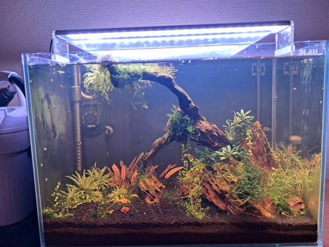 Photographie du post de CHAQUA 