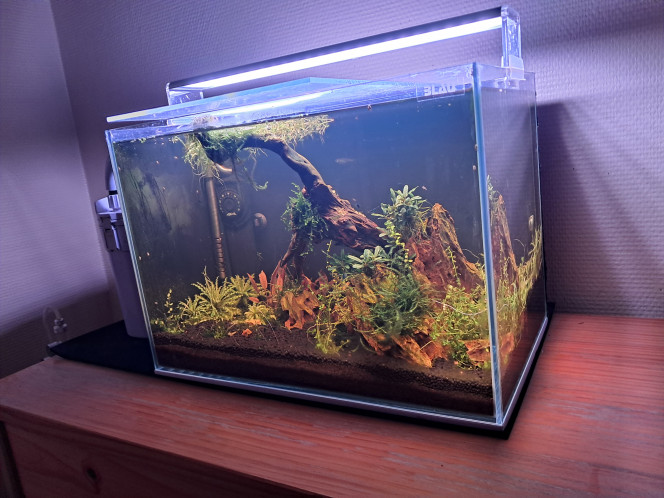 Photographie du post de CHAQUA 