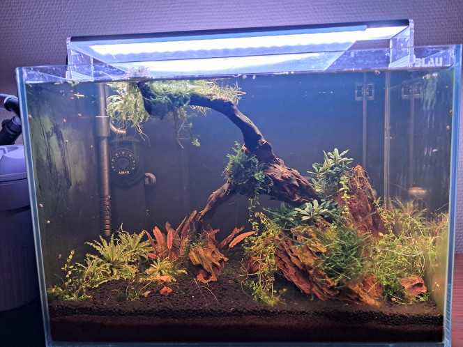 Photographie du post de CHAQUA 