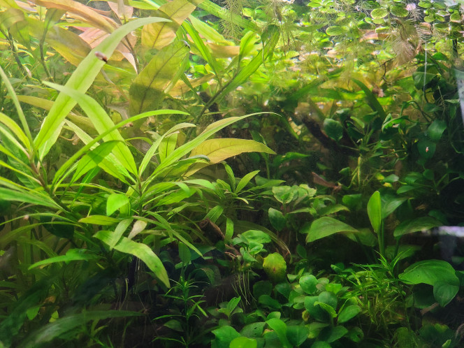 Photographie du post de laurent-galichet 