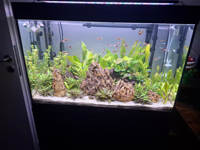 Photographie du post de Guiguidu57 