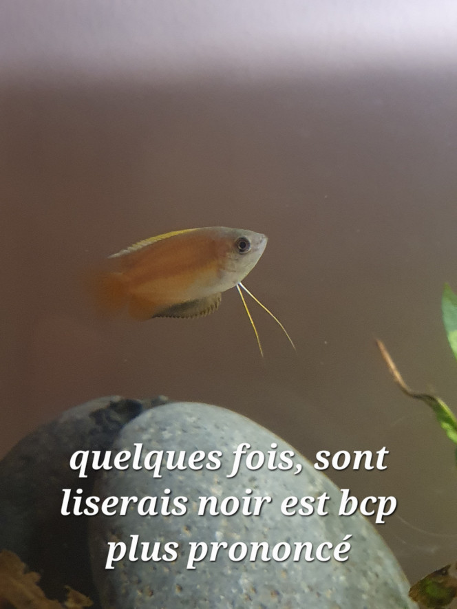 Photographie du post de Rowelor0611 