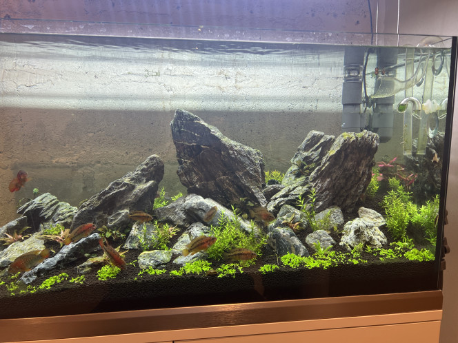 Photographie du post de Rafael_78 