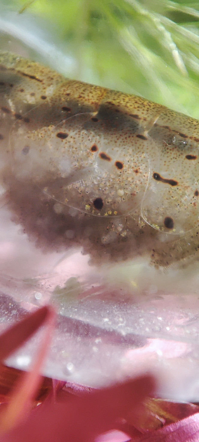 Photographie du post de PtiteNoli 