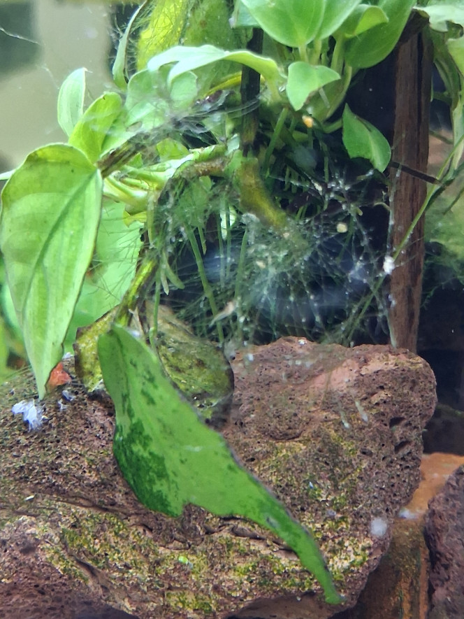 Photographie du post de PORTELLI 