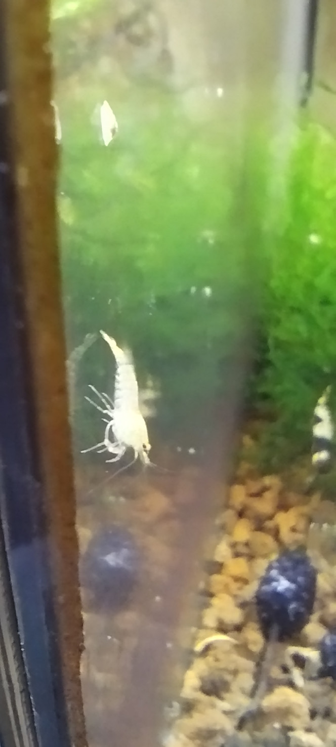 Photographie du post de Olivier1977 