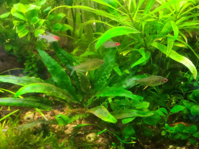 Photographie du post de laurent-galichet 