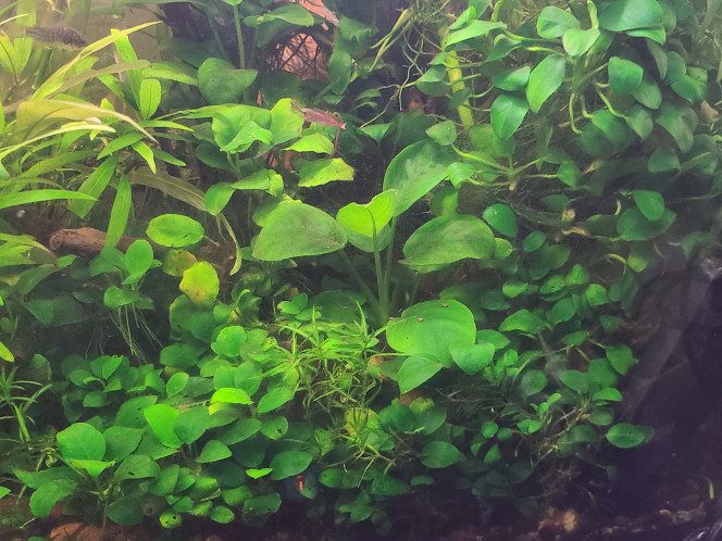 Photographie du post de laurent-galichet 