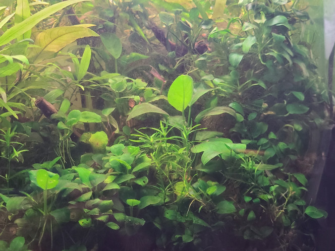 Photographie du post de laurent-galichet 