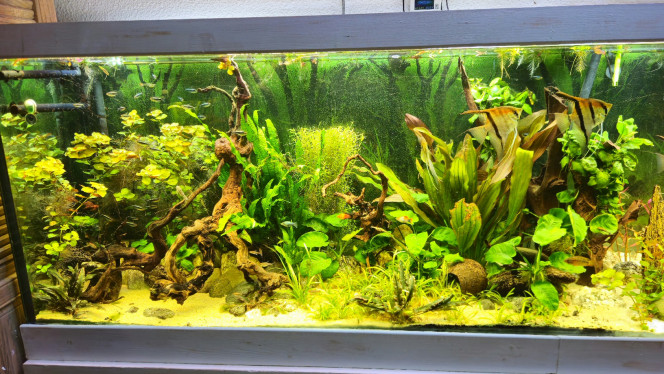 Photographie du post de Aleau 