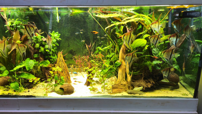 Photographie du post de Aleau 